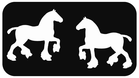 Clydesdale Draft Horse Decal Sticker Set Gift for Horse Owner Horse ...