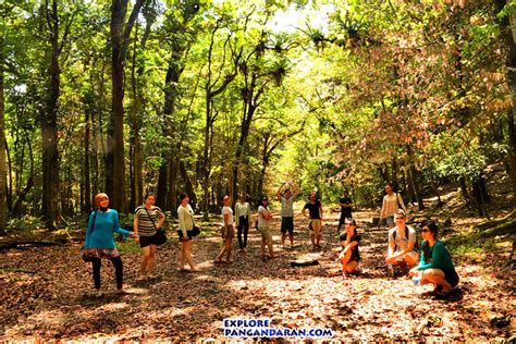 Taman Nasional Dan Cagar Alam Di Indonesia