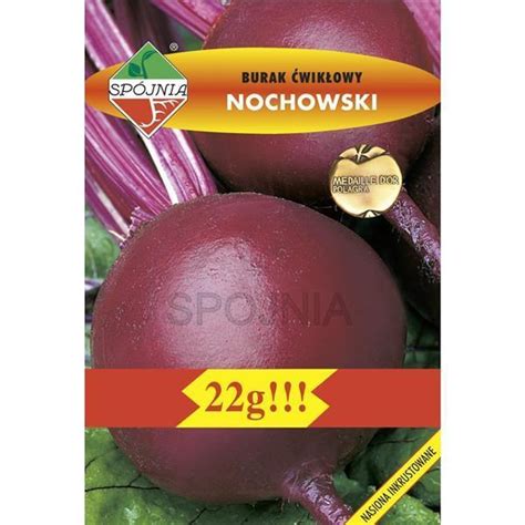 Burak Ćwikłowy Nochowski 22G Standard Spójnia rolno ogrodniczy pl