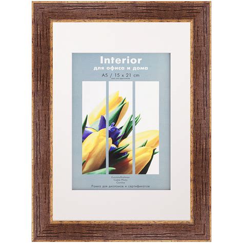 Рамка для сертификата Interior 21x30 (A4) Sherwood bronze, с паспарту ...