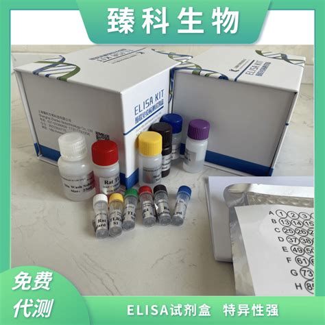 人磷脂转运蛋白pltp）酶联免疫elisa试剂盒48t 上海臻科生物科技有限公司