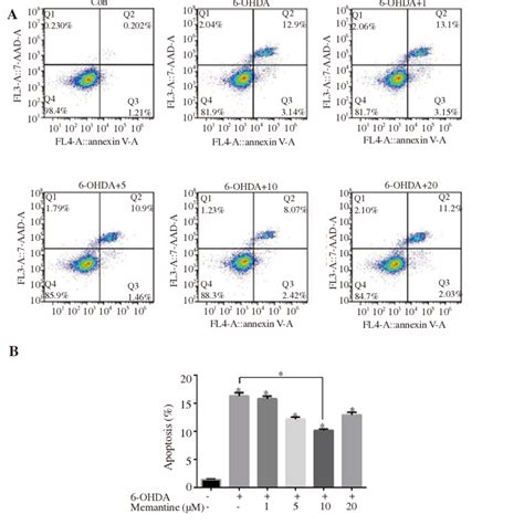 Apoptosis Rate Of Pc12 Cells Treated With Different Concentrations Of