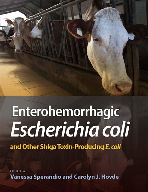 Enterohemorrhagic Escherichia Coli And Other Shiga Toxin Producing E Coli Sperandio Vanessa