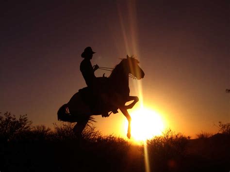 🔥 Download Cowboy On Sunset Wallpaper Photos Screen by @nicolelewis | Western Wallpapers for PC ...