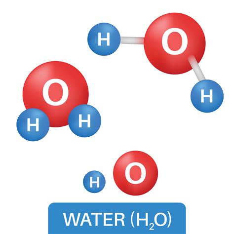 H2o Water Molecule Model Chemical Formula Vector Image 54 Off