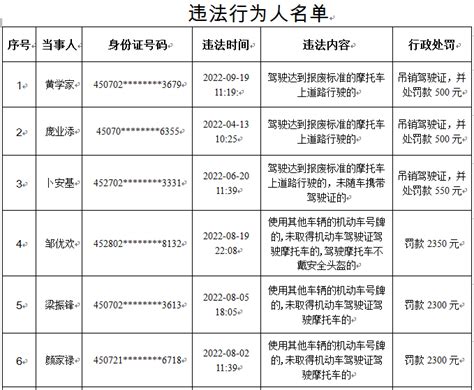 关于对8名违反道路交通安全法行为人的处罚公告处理违法规定