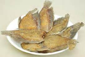 ikan air tawar malaysia ikan sepat ronggeng