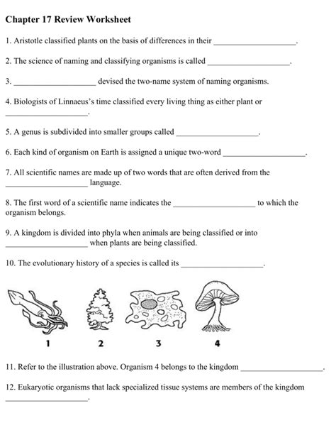 Gcse Biology Classification Worksheet Pack Teaching Resources