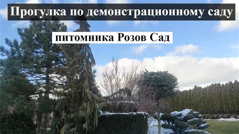 Прогулка по демонстрационному саду и обзор питомника Розов Сад ...