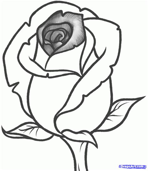 Rose Line Drawing | Free download on ClipArtMag