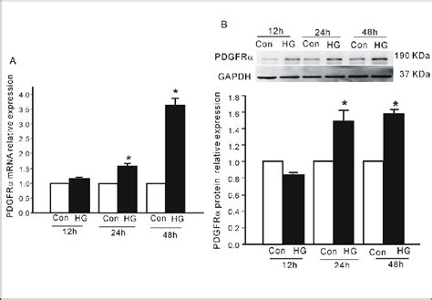 Expression Levels Of Pdgfr Mrna And Protein In Nih T Cells A