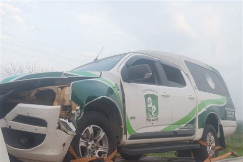 Anta Atropelada Por Carro De Funer Ria Que Levava Corpo Em Mt