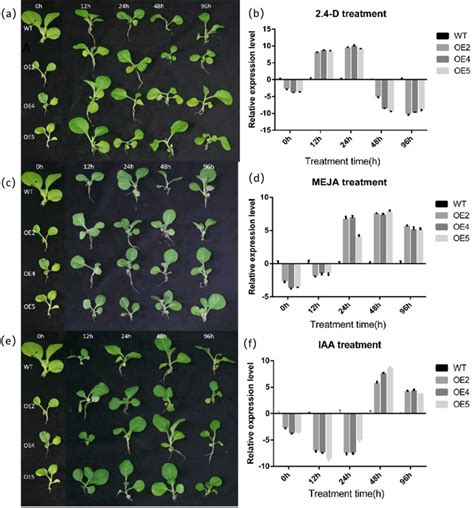 Relative Expression Levels Of Transgenic And Wild Type Tobacco Under