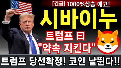 시바이누 전망 긴급 1000상승 예고 트럼프 당선확정 홀더분들 축하파티비트코인시세 영상후반 꿀통 공개