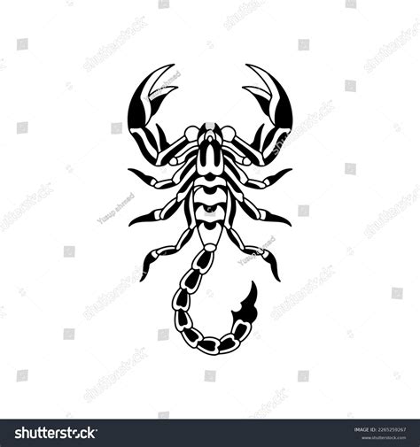 10 472 Black Scorpion Vector Images Stock Photos Vectors Shutterstock