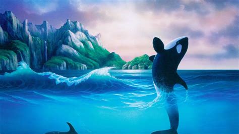 Killer Whales Wallpapers Wallpaper Cave