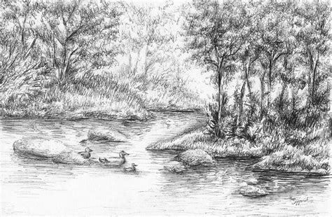 Original pen and ink drawing bird drawing art Landscape forest art Art ...