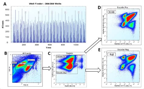 Gating Strategy For The Assay Using Multiplexing Of Two B Cell Lines