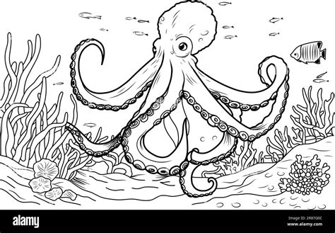 Octopus coloring book. Coloring page simple line illustration of octopus and underwater world ...