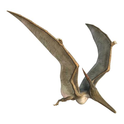 Flying Pteranodon — Stock Photo © PhotosVac #45840423