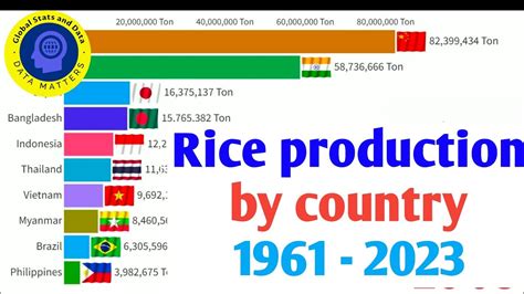 Top Rice Producing Countries 1961 2023 Youtube