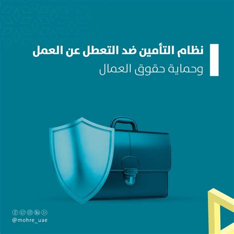 الإمارات 66 مليون مشترك في التأمين ضد التعطل عن العمل أريبيان بزنس