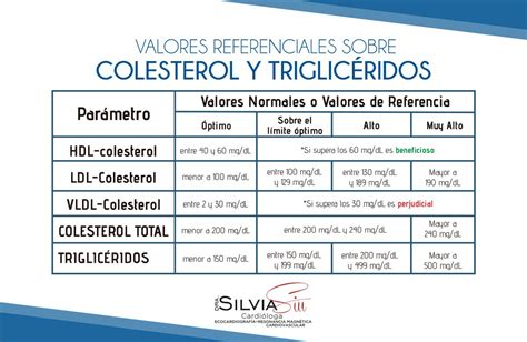 Efectos Del Colesterol Colesterol Y Trigliceridos Colesterol Hot Sex