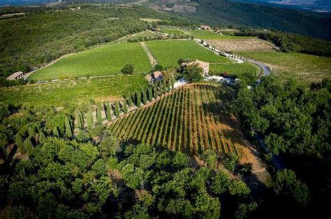 Single vineyard certificati in Nft è la volta del Brunello di