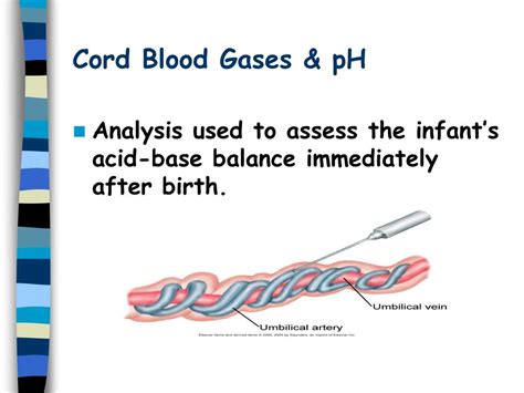 Ppt Fetal Monitoring Powerpoint Presentation Free Download Id5180473