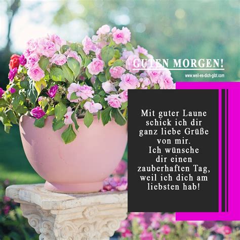 Guten Morgen Gute Laune Spruch Weil Es Dich Gibt