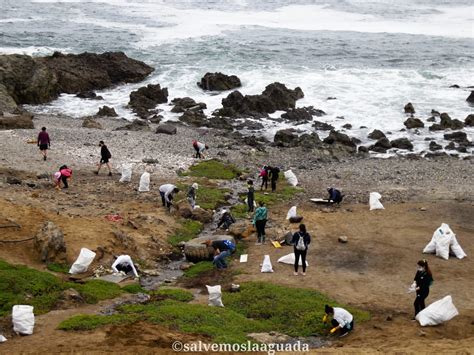 Salvemos La Aguada Proyecto Busca La Protecci N De Humedal En El