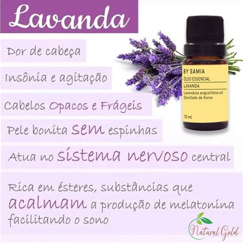 Óleo Essencial Lavanda 100 Puro 10ml Aromaterapia Mercado Livre