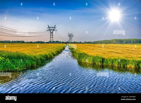 Dutch Landscape With A Canal And Grass Fields With Mirror Reflection In