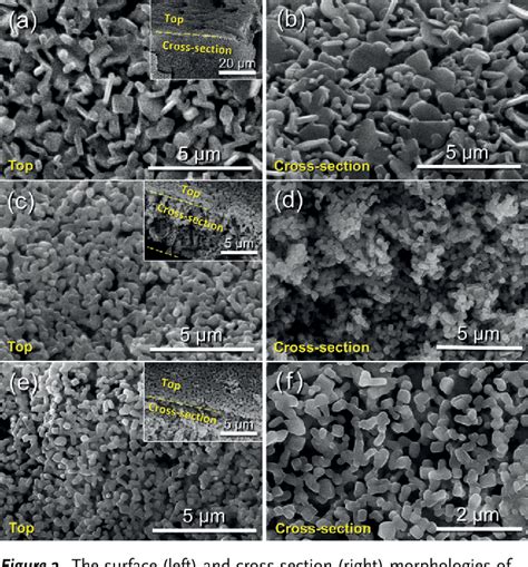 Figure From A D Nanostructured Hydrogel Framework Derived High