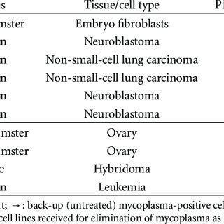 (PDF) Treatment of Mycoplasma Contamination in Cell Cultures with Plasmocin