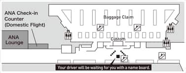 Airport Pick Up Locations Preparing For Travel Taxis And Private