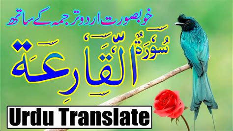 Surah Alqariah Ep By Qari Noman Ahmad With Urdu Translate