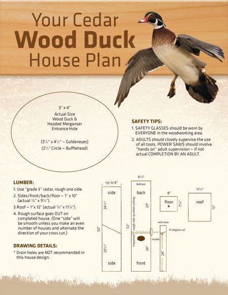 Wood Duck House Plans : Wood Duck Nest Boxes Wood Ducks Nesting Boxes ...