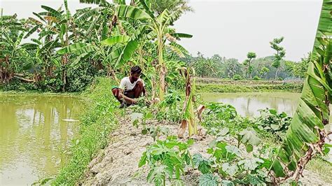 মাছ চাষের পাশাপাশি বাড়তি আয়ের কয়েকটি পন্থা