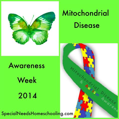 Mitochondrial Disease Awareness Week Clio Melody