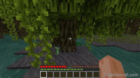 How To Make A Mangrove Propagule In Minecraft