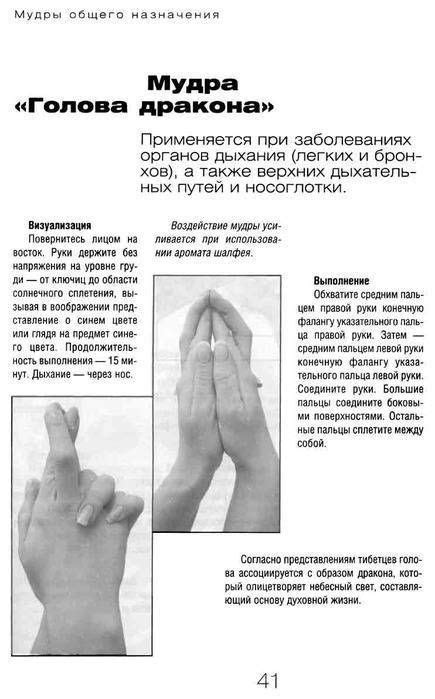 Мудры от боли в спине: жесты для позвоночника демченко владимир ...