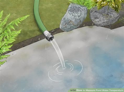 Easy Ways To Measure Pond Water Temperature Wikihow Life