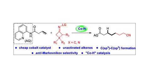 Directed Cobalt Catalyzed Anti Markovnikov Hydroalkylation Of