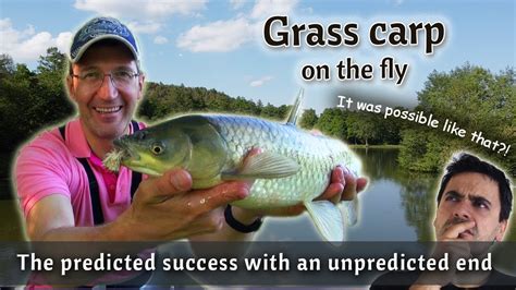 Fly Fishing For Grass Carp On The Lake My Top Fly Pattern For Carp On