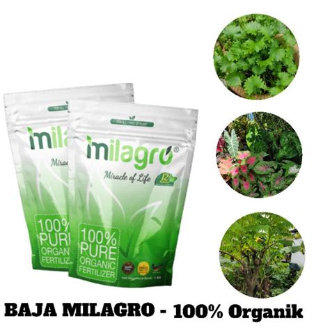 READY STOCK BAJA MILAGRO 100 ORGANIK Baja Viral Tanaman Sayur