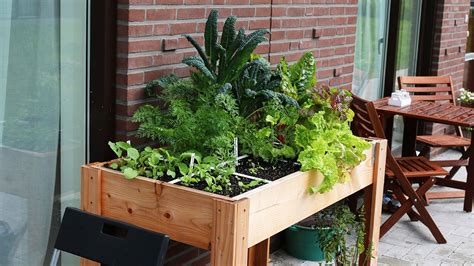 Een Moestuinbak Op Poten Makkelijke Moestuin