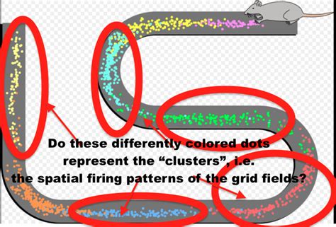 Understanding the concept of a "Place Field" and the difference between ...