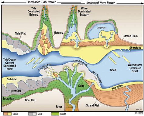 Major And Minor Ocean Relief Features UPSC