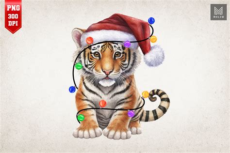 Cute Tiger In Santa Hat Christmas Graphic By Mulew Creative Fabrica